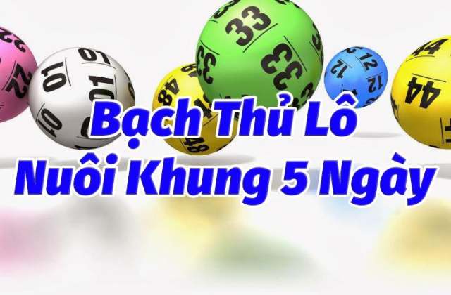 Bạch thủ lô nuôi khung 5 ngày