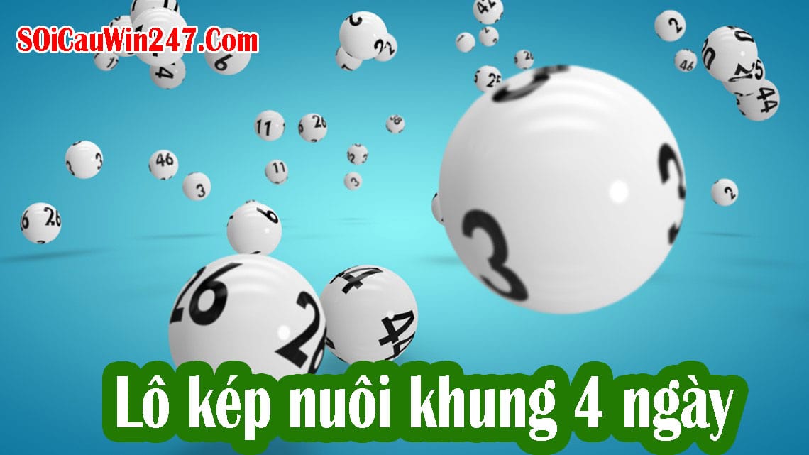 Lô kép nuôi khung 4 ngày