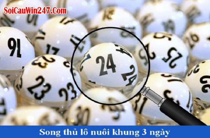 Nuôi lô song thủ khung 3 ngày