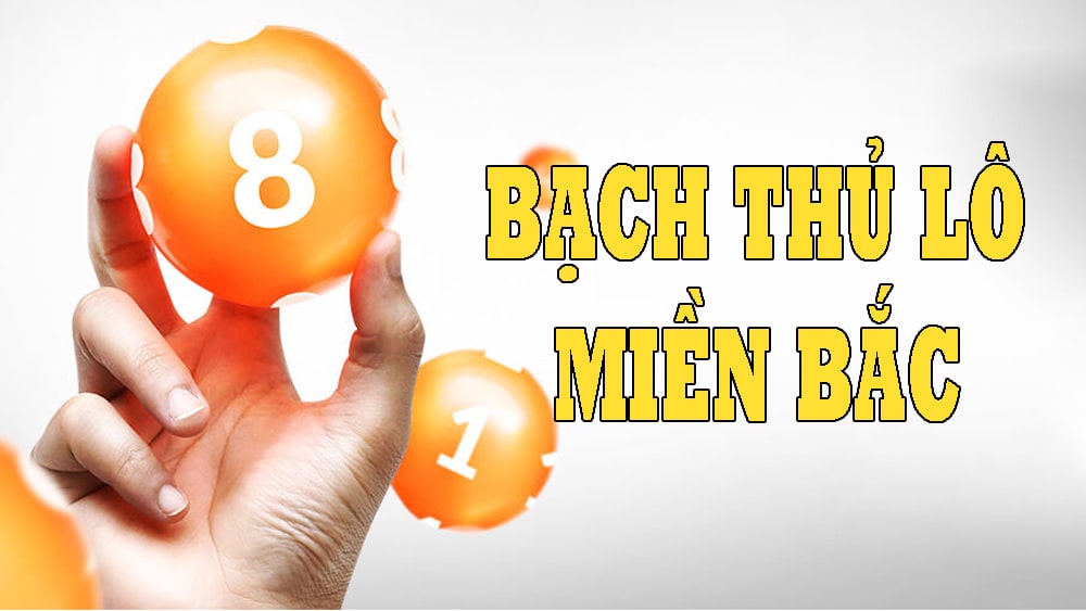 Bạch thủ lô miền Bắc