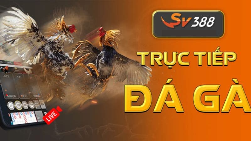 Một số hình thức đá gà trực tuyến tại SV388